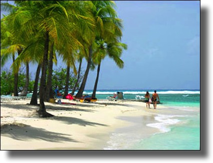 Caravelle Beach in Ste. Anne, Guadeloupe